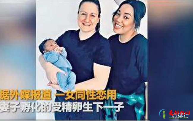 全球首例共享母亲 英国一对女同性恋人共同育子