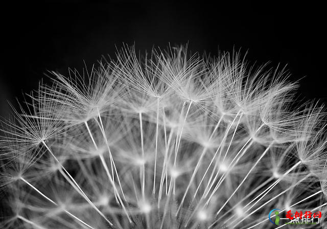 2020年十大健康谣言-2020十大健康谣言排行榜