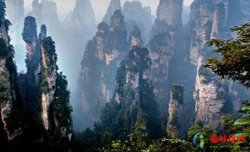 2021现在张家界还能去吗 张家界疫情允许外地人进