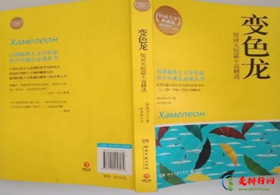 世界十大短篇小说名著，外套十分经典、变色龙人物描写栩栩如生