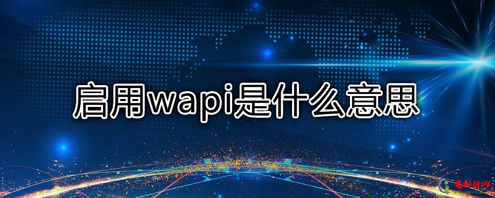 启用wapi是什么意思