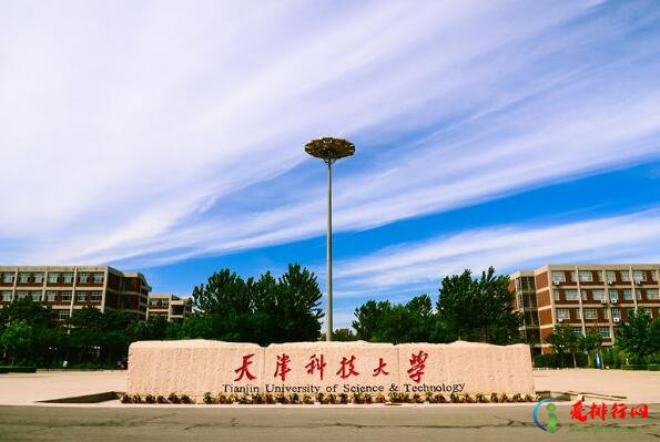 天津十大名校大学,天津有名的大学排名前十