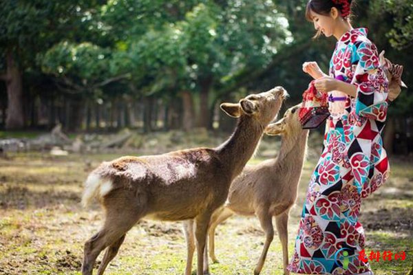 世界十大旅行城市 全球旅游城市推荐