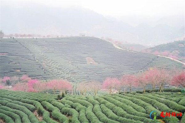 福建省内自驾游前十名,福建自驾游值得去的景点排名