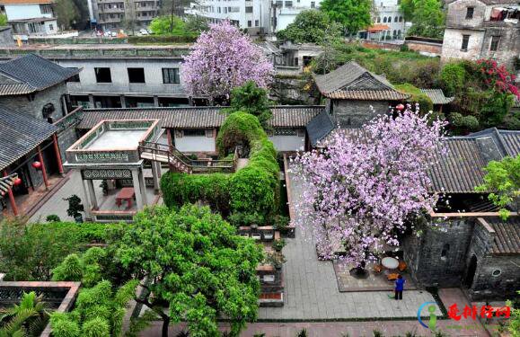 东莞好玩的地方排行榜,东莞哪里好玩景点排名