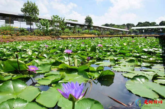 中山A级旅游景区大全 中山国家a级景点有哪些