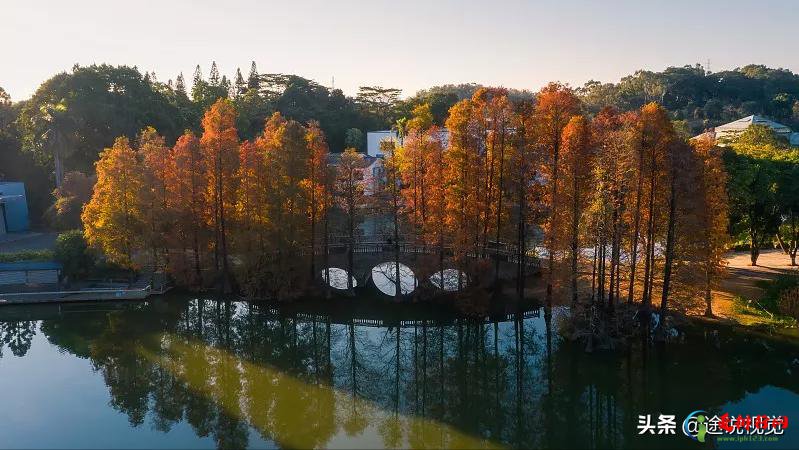 最值得去的广州著名景点 盘点必打卡的广州十大旅游景点