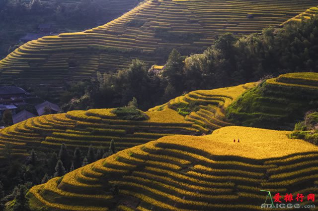 十一适合去哪里旅游 国庆节十大最值得去的景区排行榜