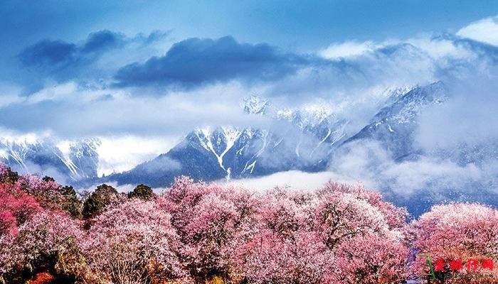 春日寻芳 | 盘点国内十大绝美春游胜地推荐