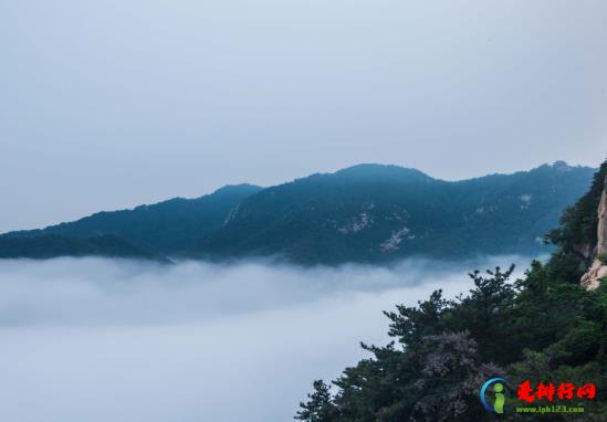 行程卡在一个地方停留4小时会更新显示吗？通信行程卡有误差怎么办